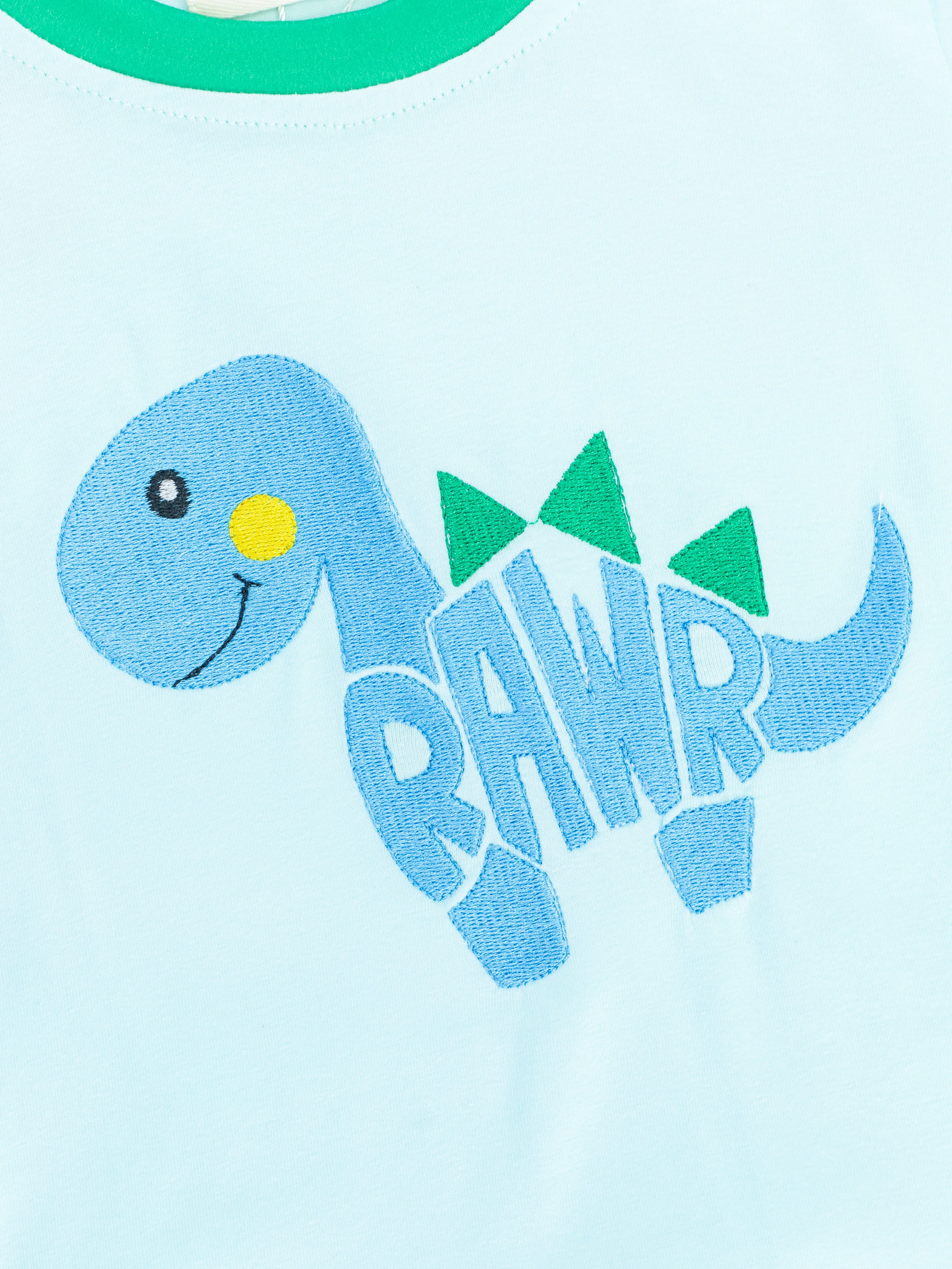 Baby Blue Rawr Shirt