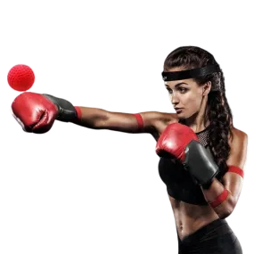 Boxing Reflex Speed Ball